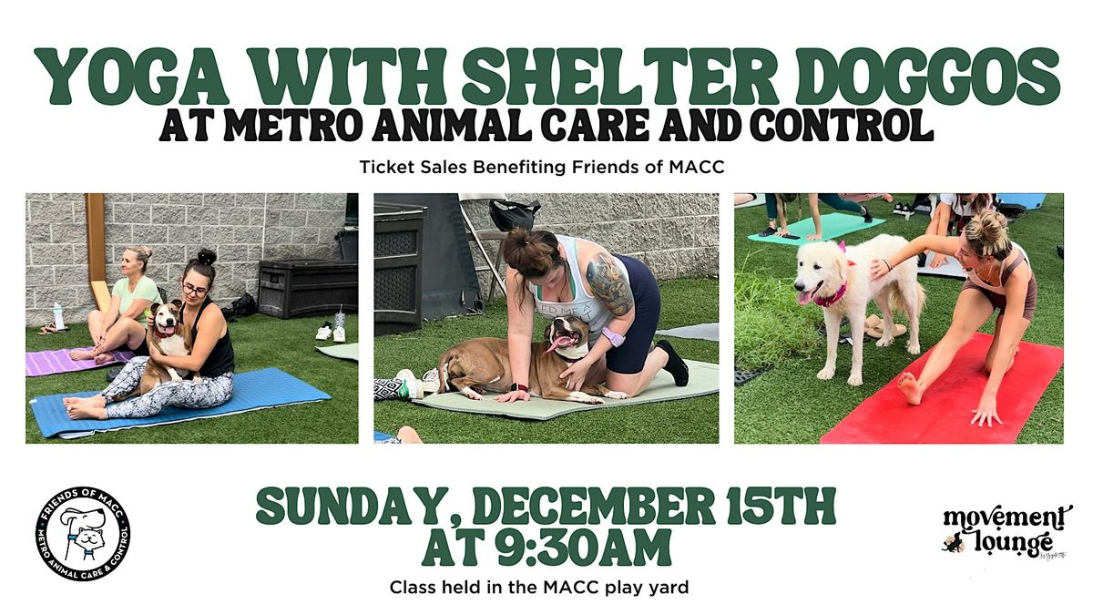 Yoga with the Shelter Doggos of MACC