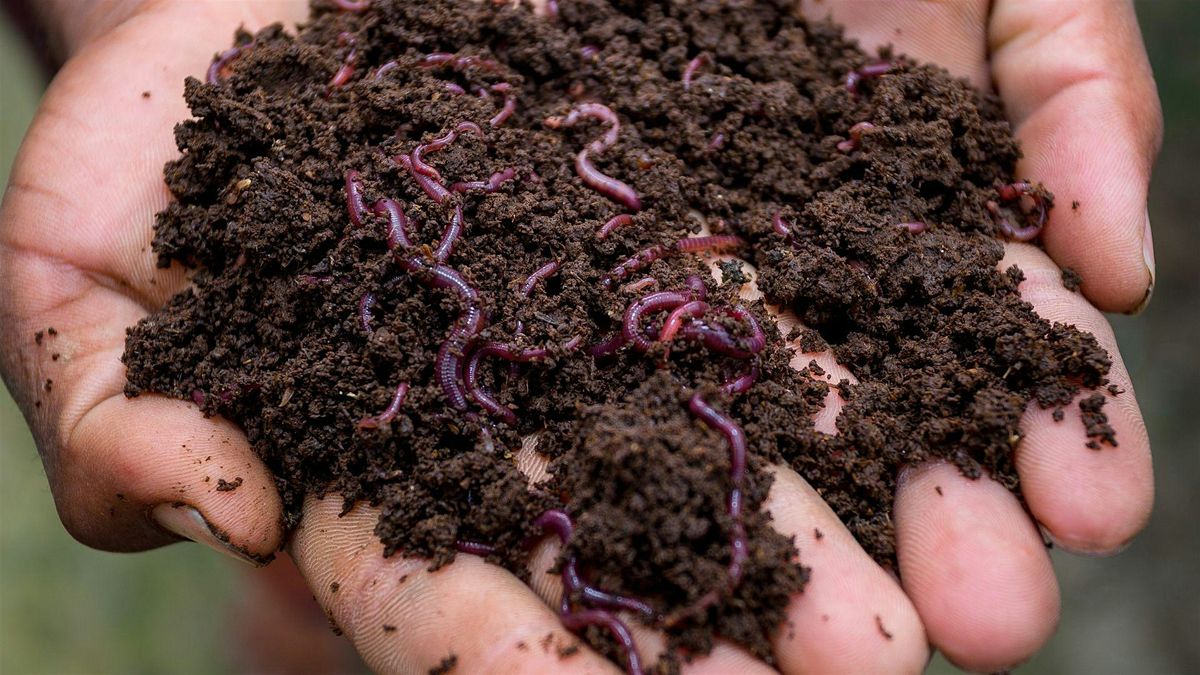 Introduction to Composting