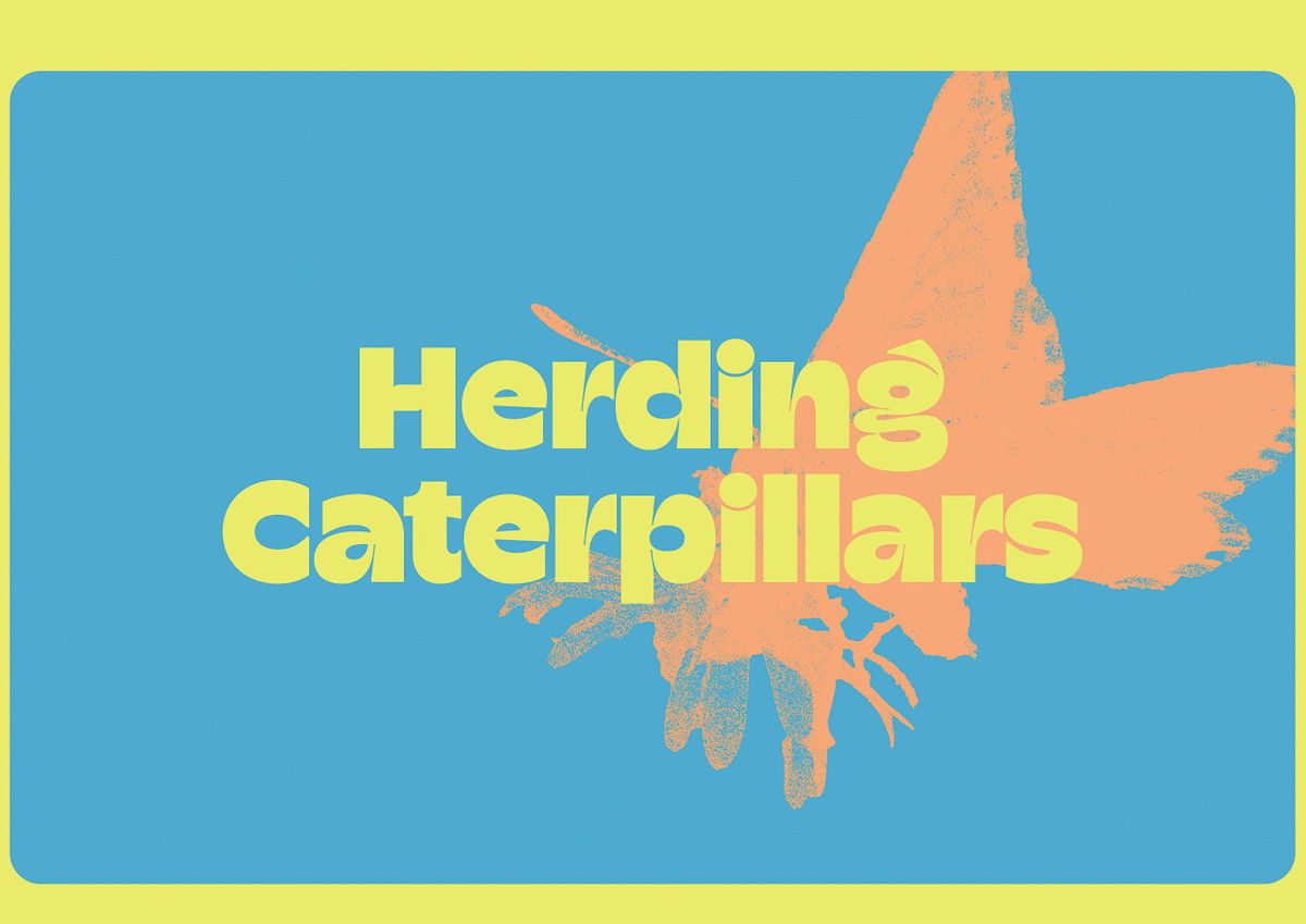 Herding Caterpillars- the Augmented Reality (AR) experience