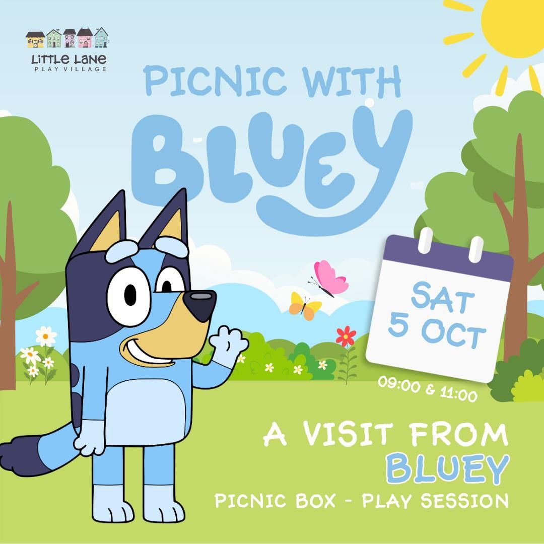 Picnic with Bluey