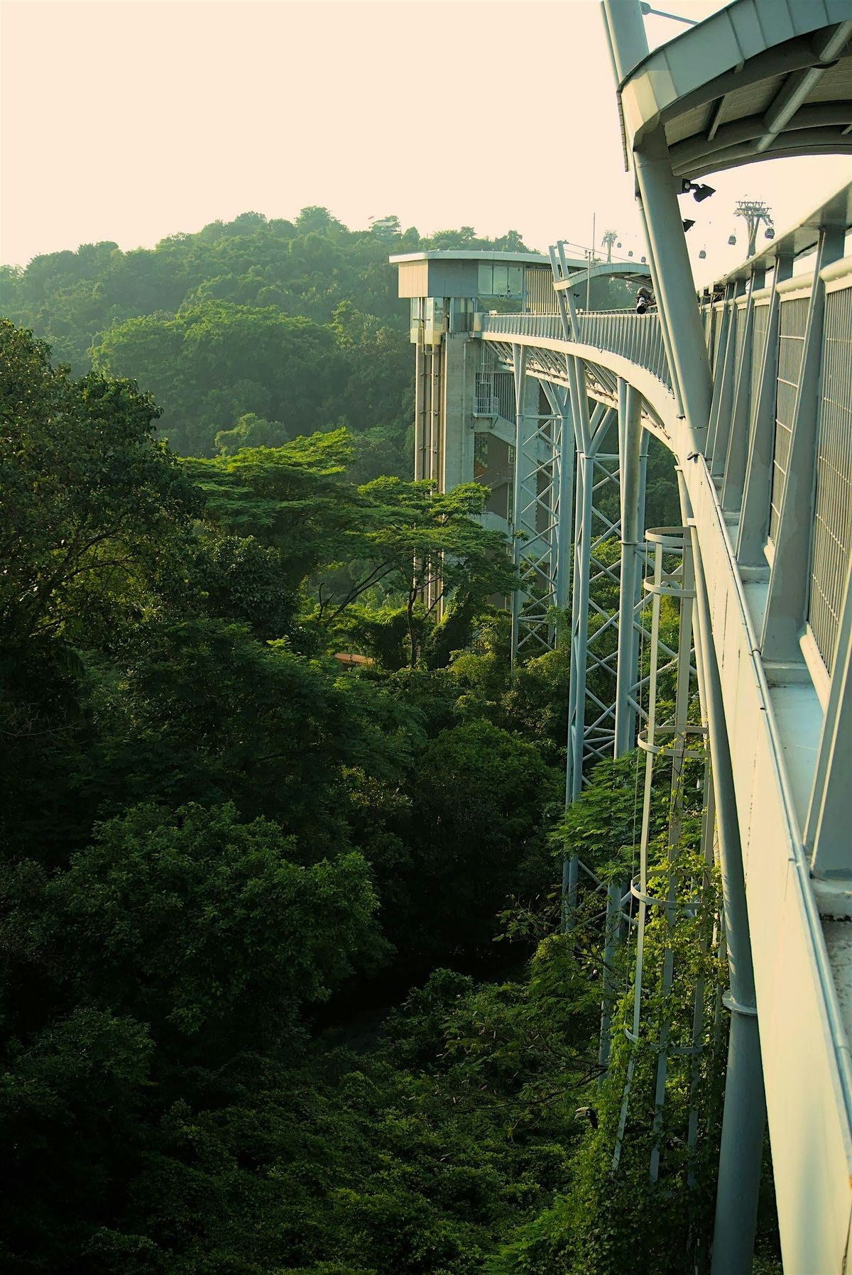 [Workshop] Sentosa Nature Quest