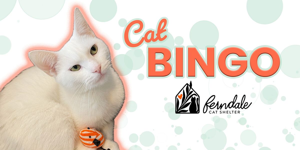 Cat Bingo!