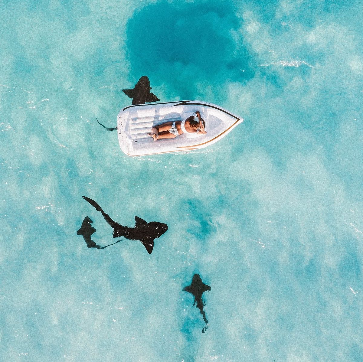 Exuma Swim with the Pigs and Nurse Sharks