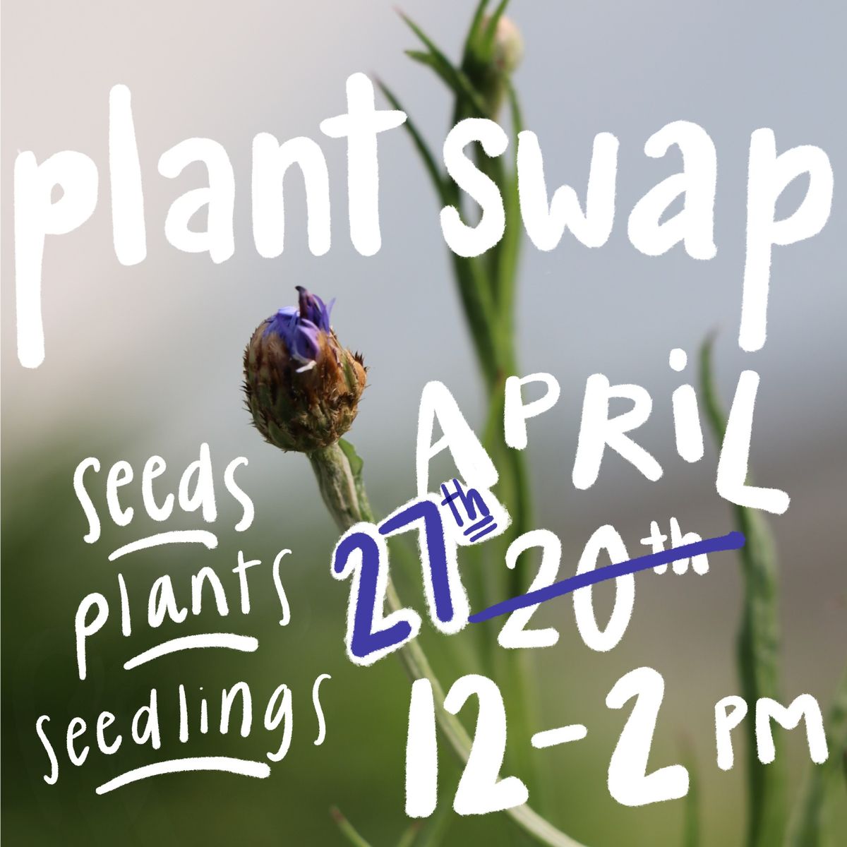 Seed, Seedling and Plant Swap