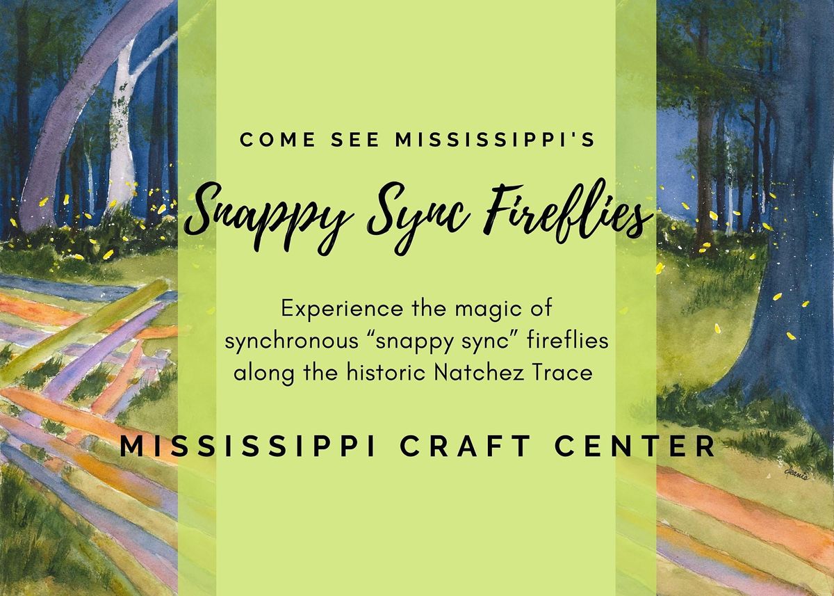 2022 Snappy Sync Soiree and Firefly Tours