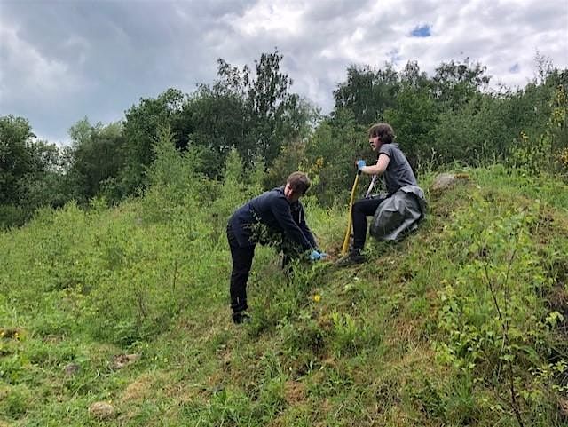 Conservation Rangers at Rainton Meadows