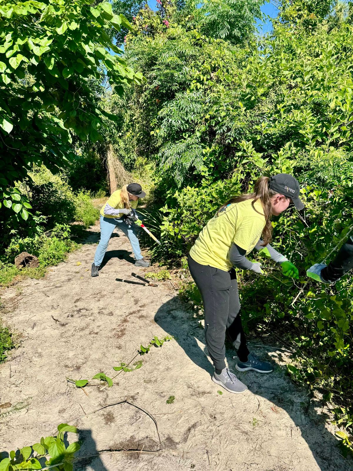 Campground trimming