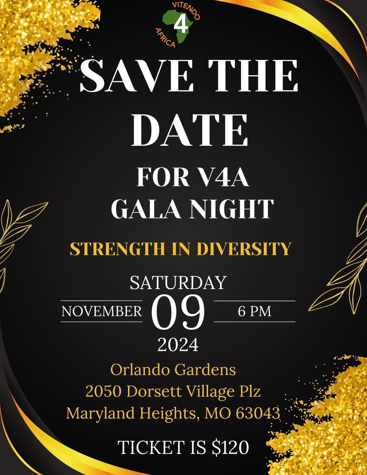 2024 V4A GALA NIGHT- Connect with the African Immigrant Community