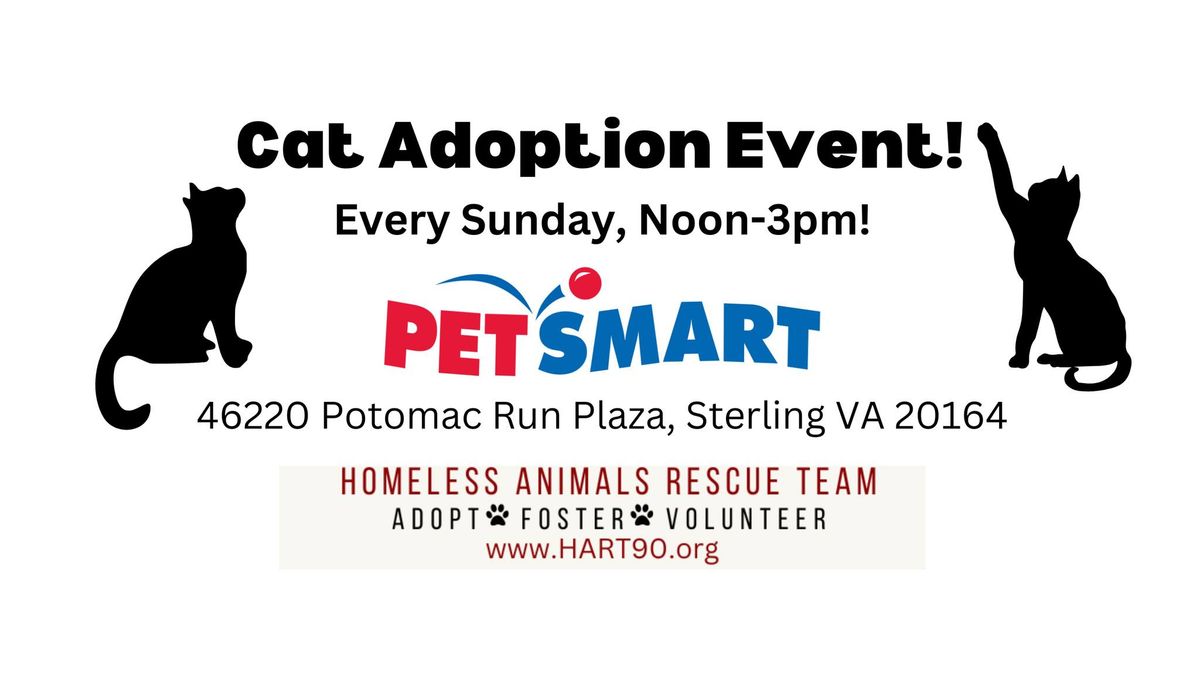 Cat Adoption Event! 