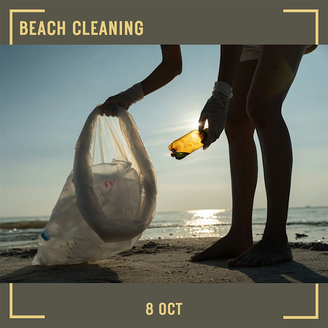 Beach Cleaning