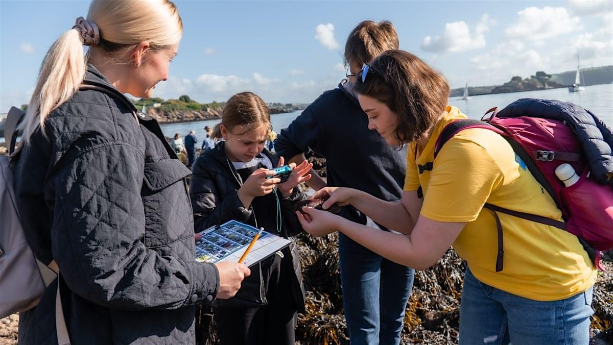 Big Rock Pool Challenge: Bioblitz Battle December 2024 (Plymouth)