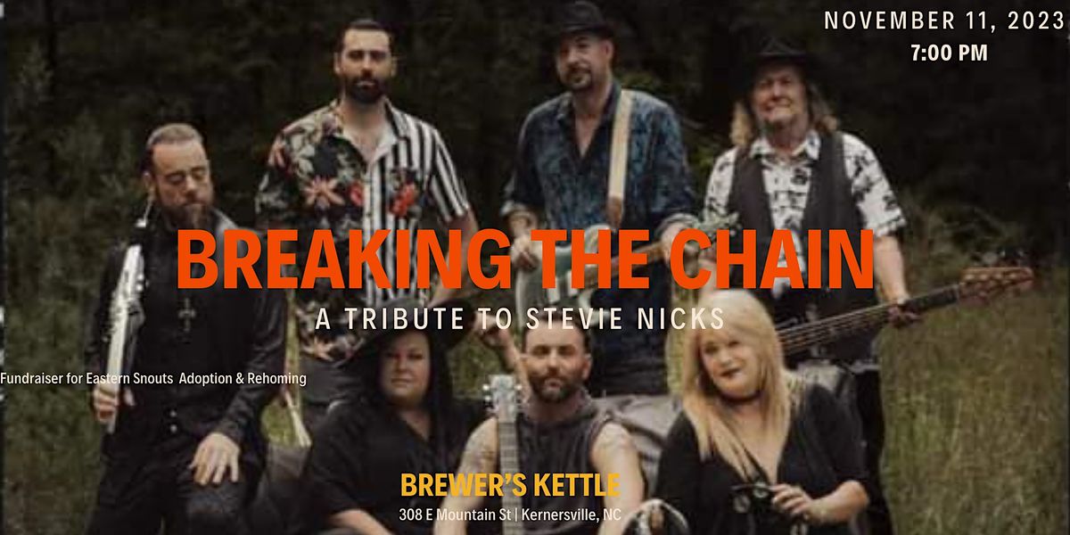 Breaking the Chain - Tribute to Stevie Nicks