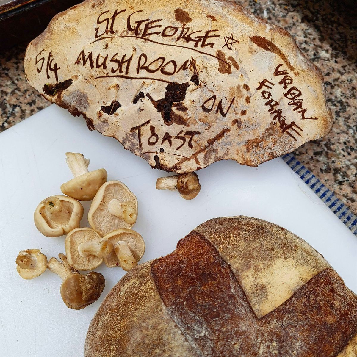 Walking The Great Wood - Guided Mushroom Forage walk with Lunch.