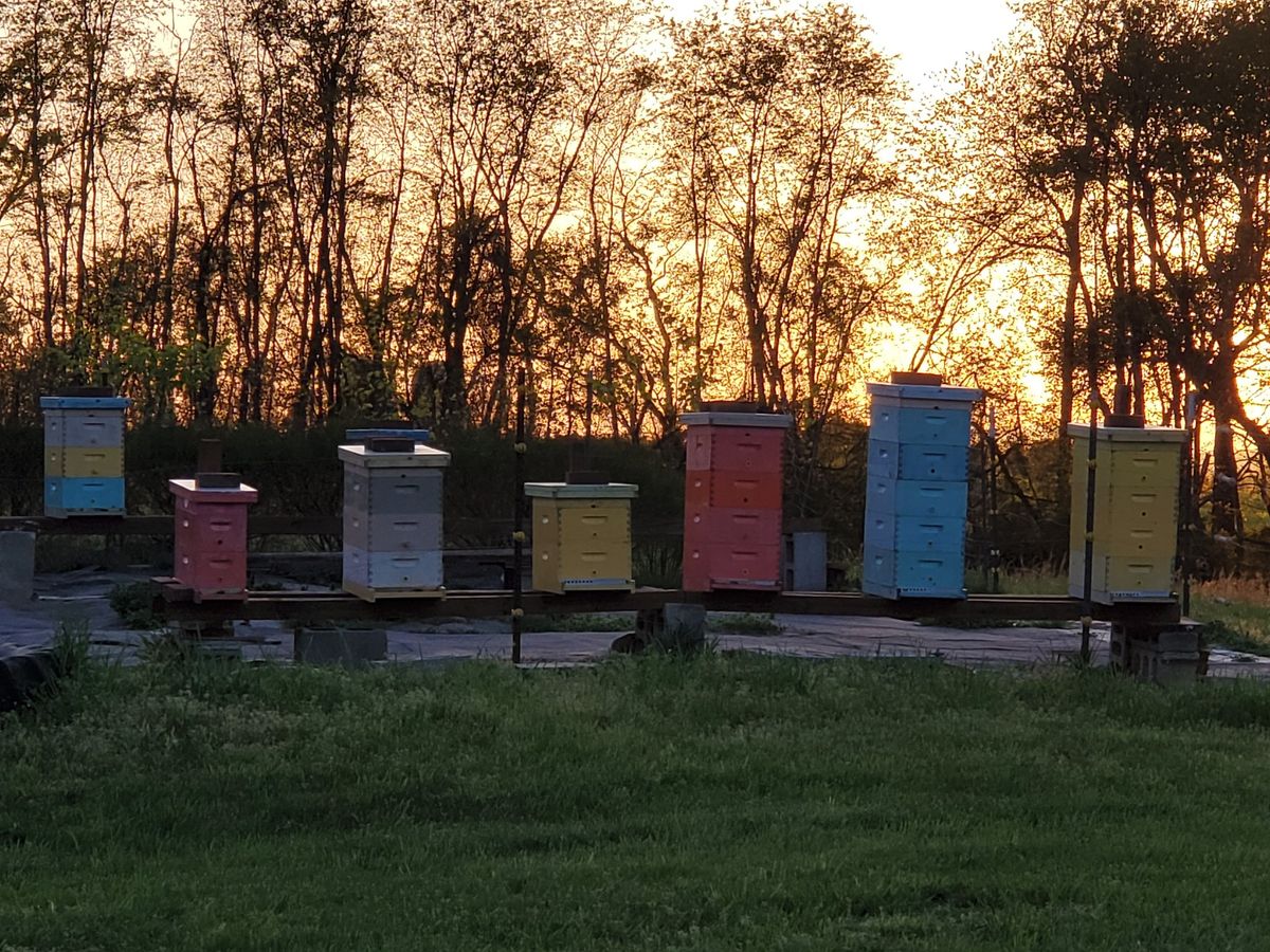 Beekeeping 101 ~ Mechanicsburg Trails and Trees Environmental Center