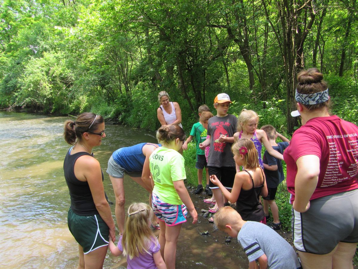 Creek Exploration