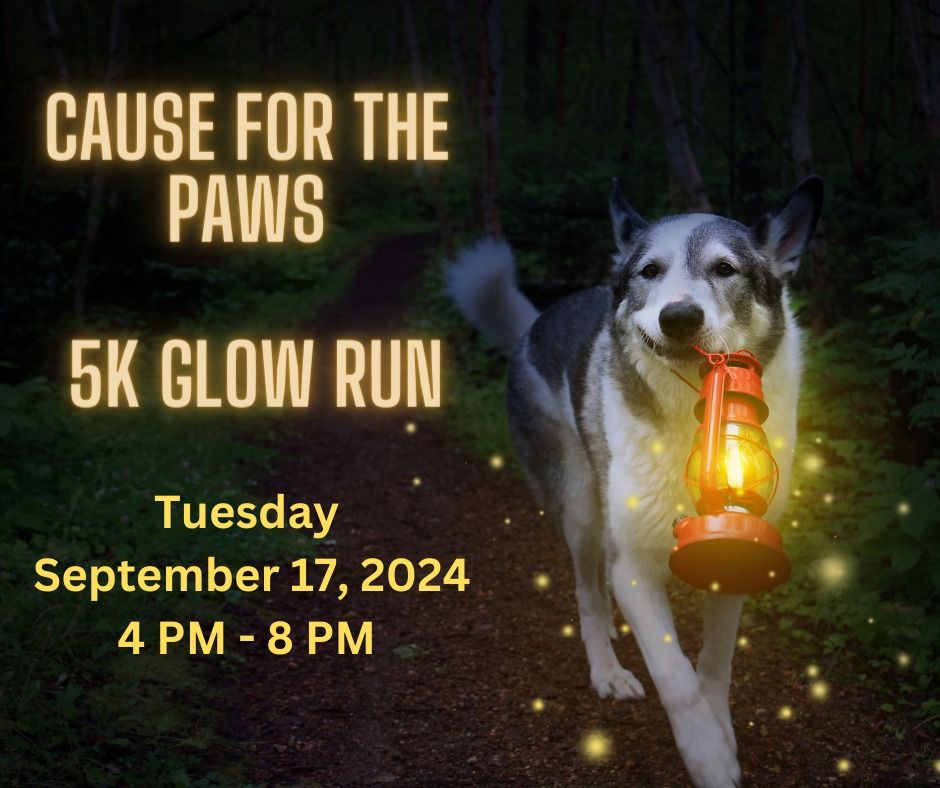 Cause for the Paws 5K GLOW Walk\/Run
