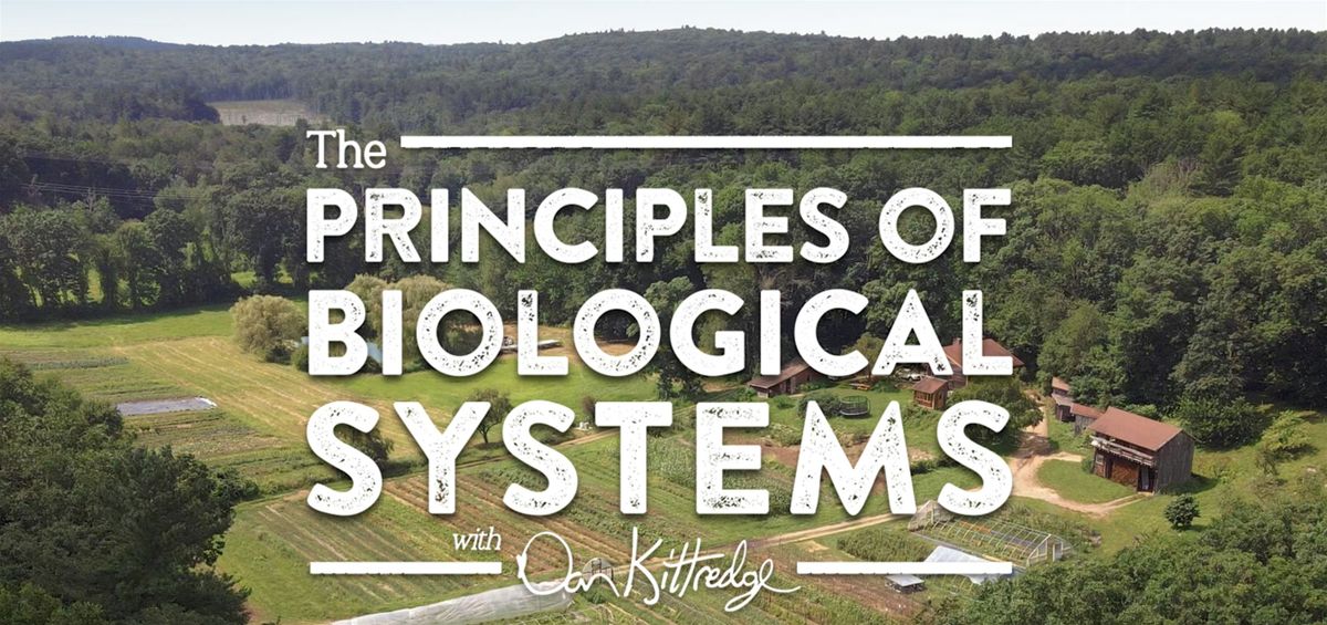 Complete Series: The Principles of Biological Systems with Dan Kittredge