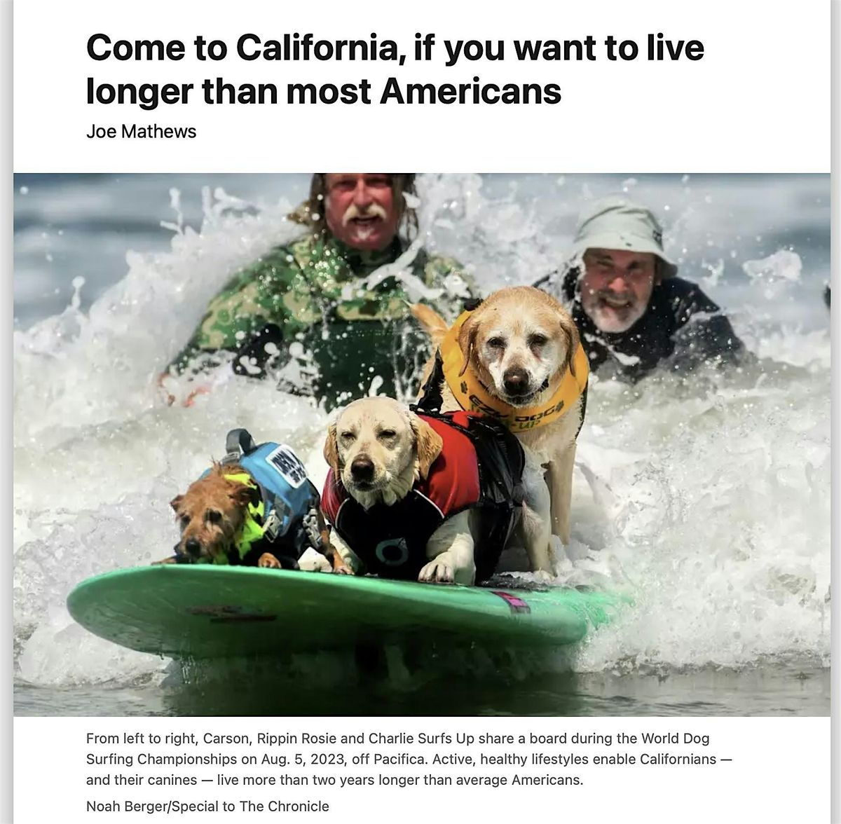 World Dog Surfing Championships - Volunteer Registration 2024