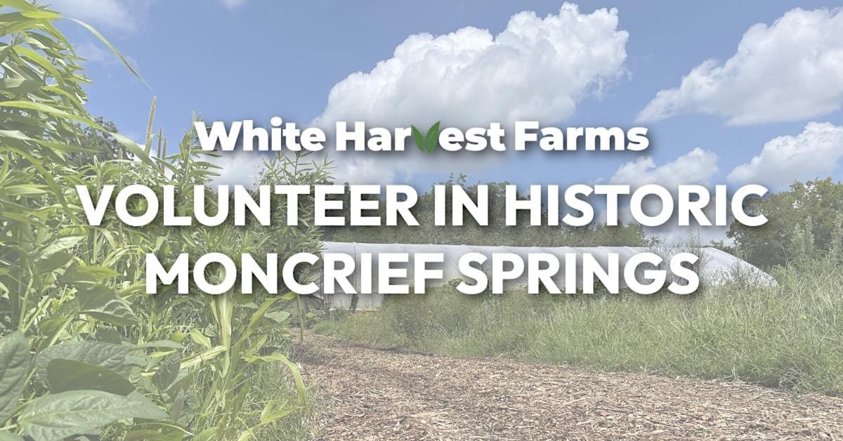White Harvest Farms Volunteering