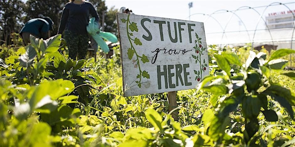 September Demonstration Garden Tour