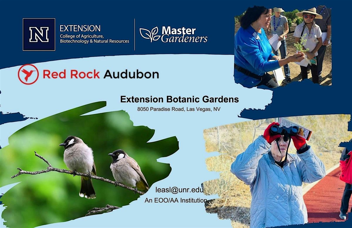 Copy of Slow Birding Walks at the Extension Botanic Gardens