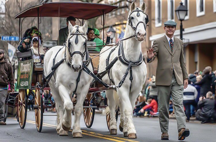 The 42nd Annual Alexandria St. Patrick's Day Parade