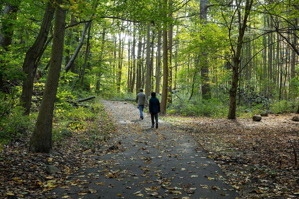 Alley Pond Park Super Steward: Trail Maintainer Training