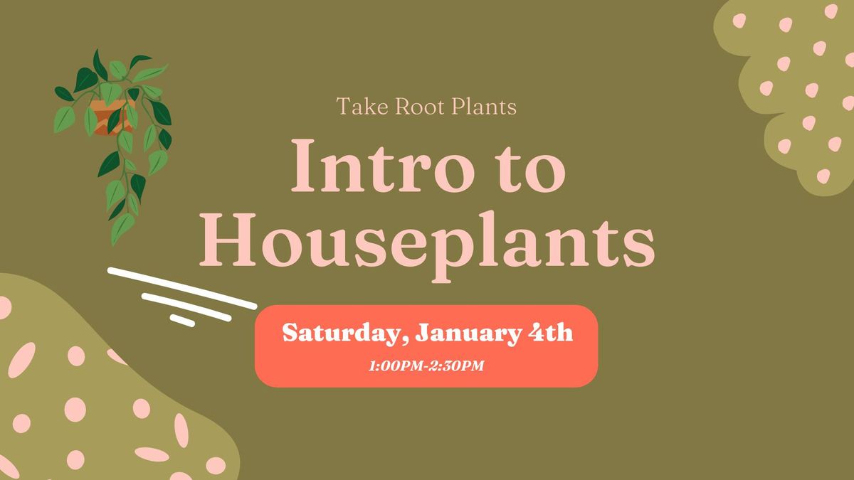 Intro to Houseplants