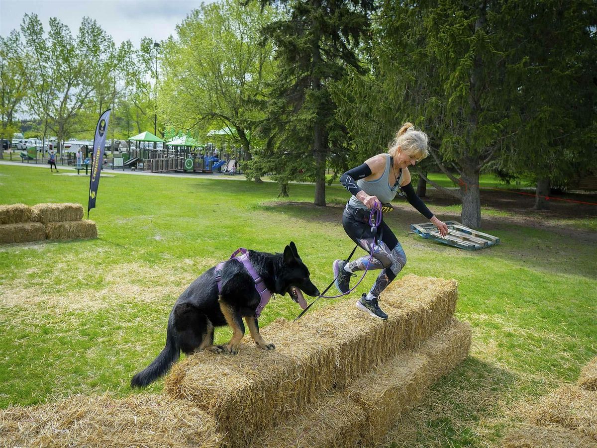 Zulu K9 Challenge Edmonton 2025