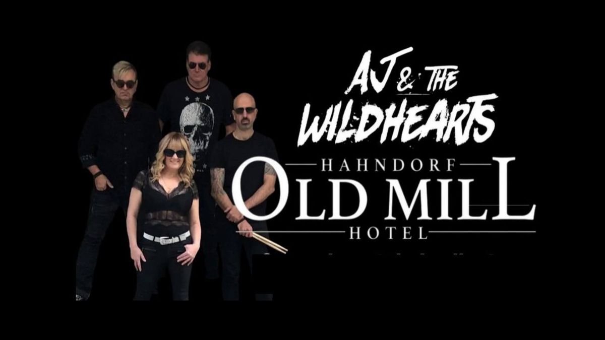 AJ & the Wildhearts - LIVE