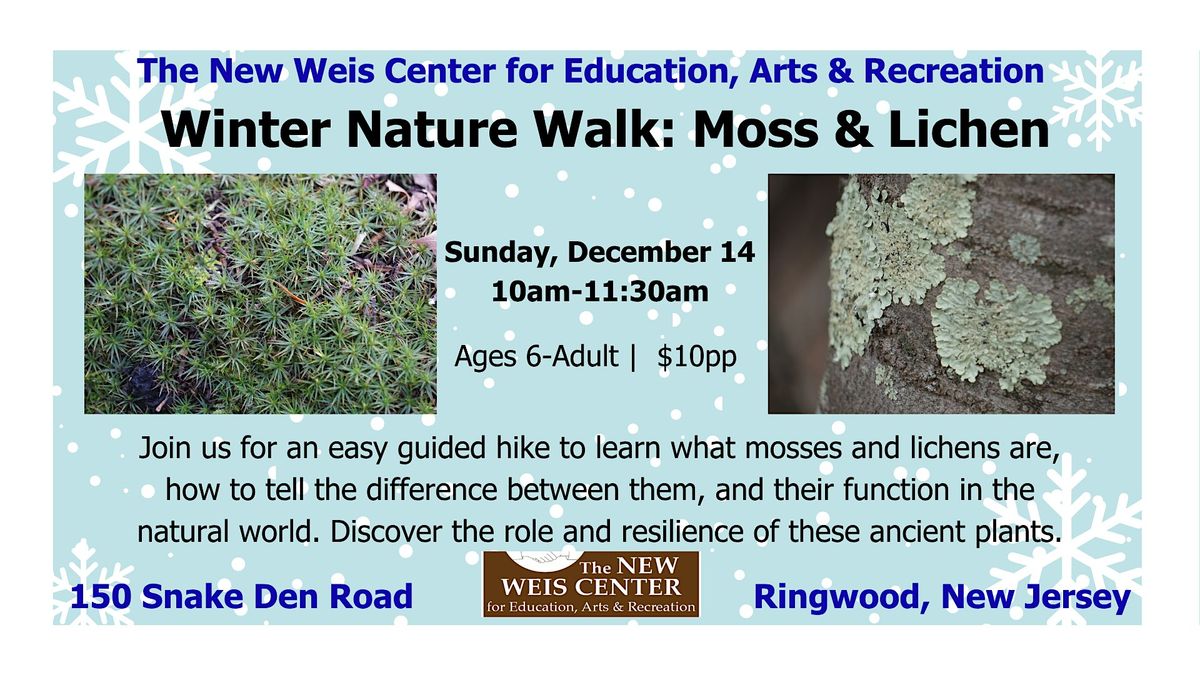 Winter Moss & Lichen Walk!