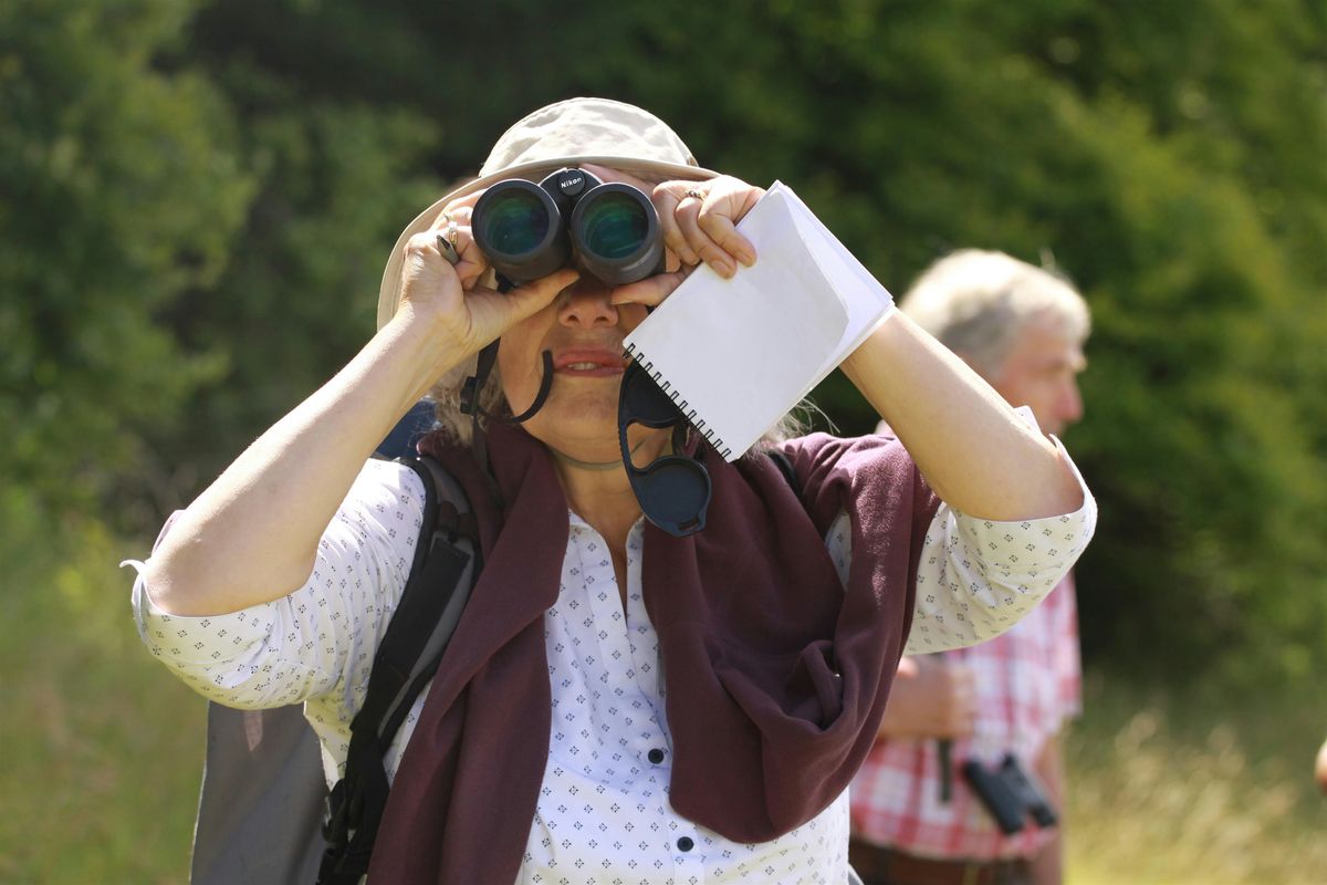 Adults Bird Watching for Beginners,  Thatcham Nature Discovery Centre, Sunday 19th January