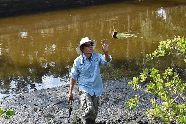 Coastal Native Plants of Southwest Florida - Volunteer Event