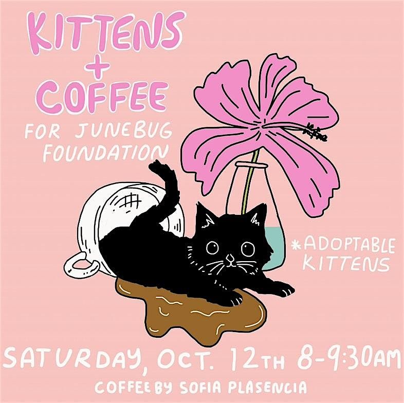 Kittens + Coffee benefitting Junebug Foundation