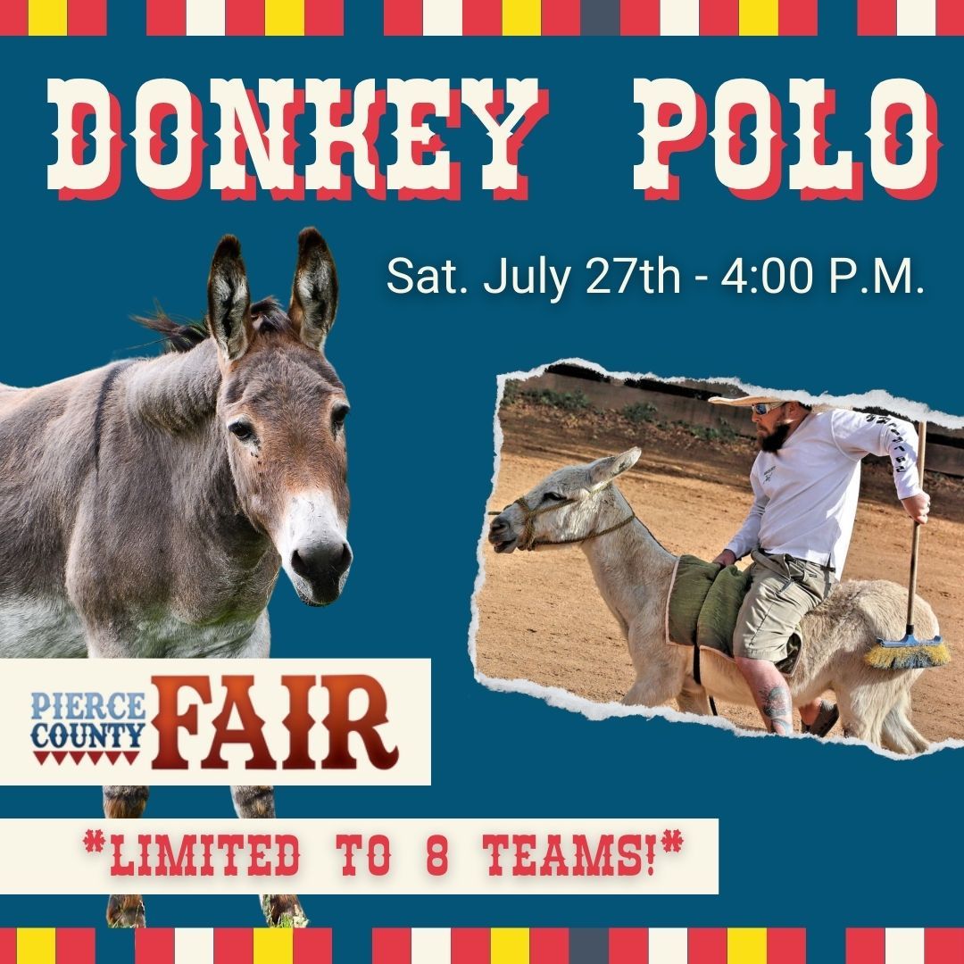Donkey Polo at the Pierce County Fair