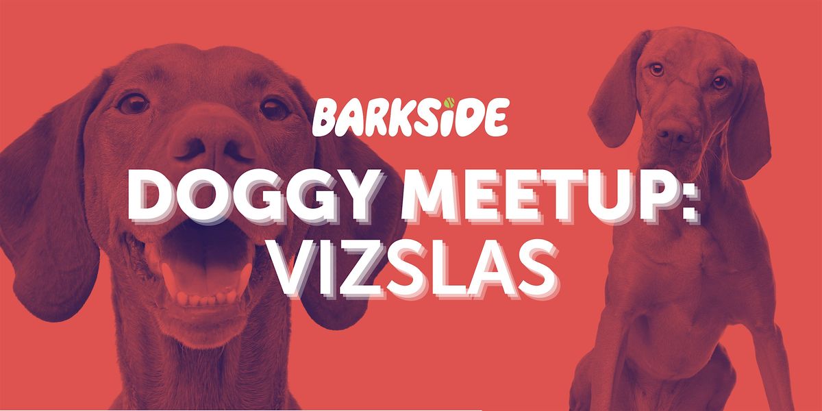 Doggy Meetup: Vizslas