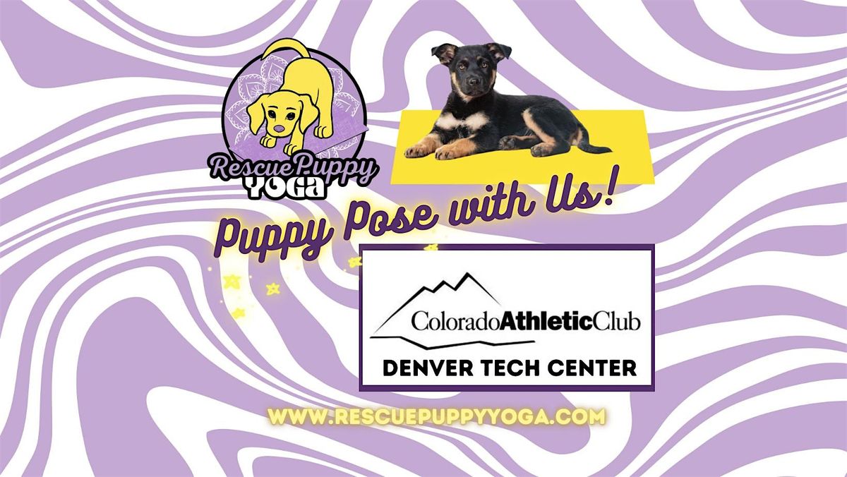 Rescue Puppy Yoga @ Colorado Athletic Club Denver Tech Center