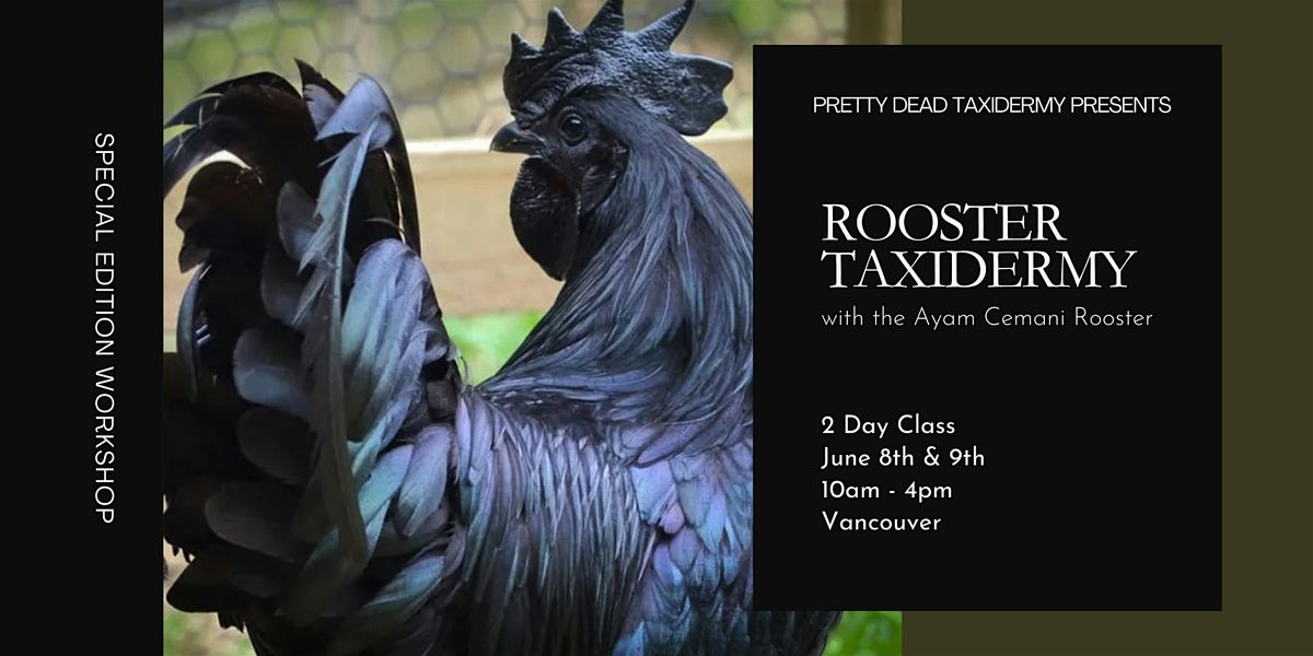 Rooster Taxidermy Workshop (2 Day Class)