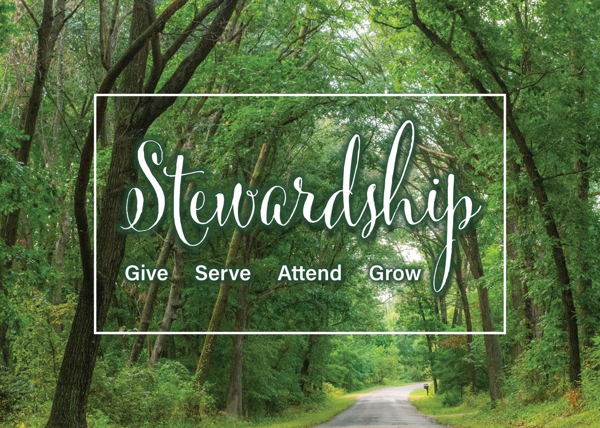 Stewardship Sunday 