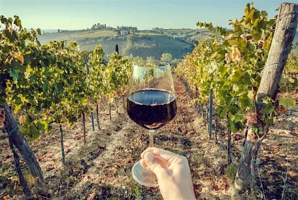 Wine Wise : Premium Italian Wines