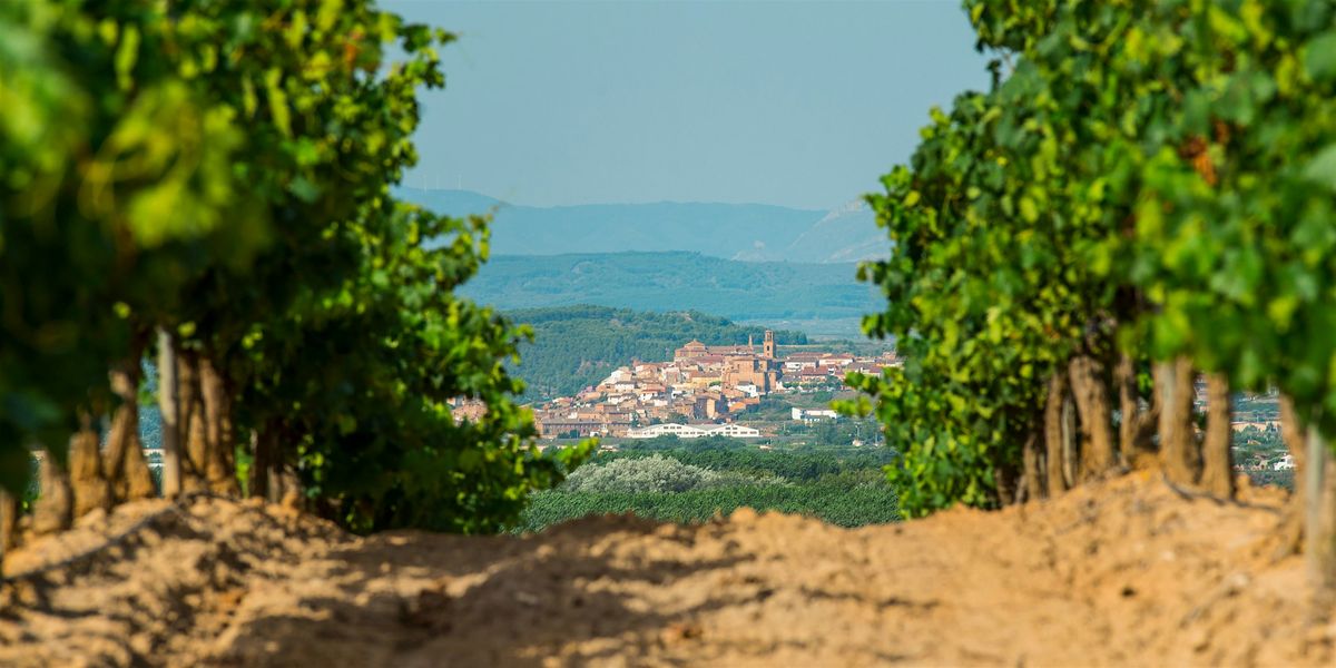 Rioja:  The Art of Spanish Wines