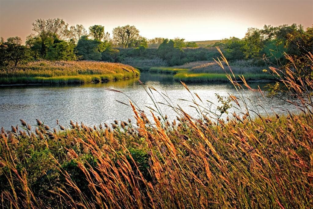 SI Bio-Blitz FrogWatch USA Monitoring