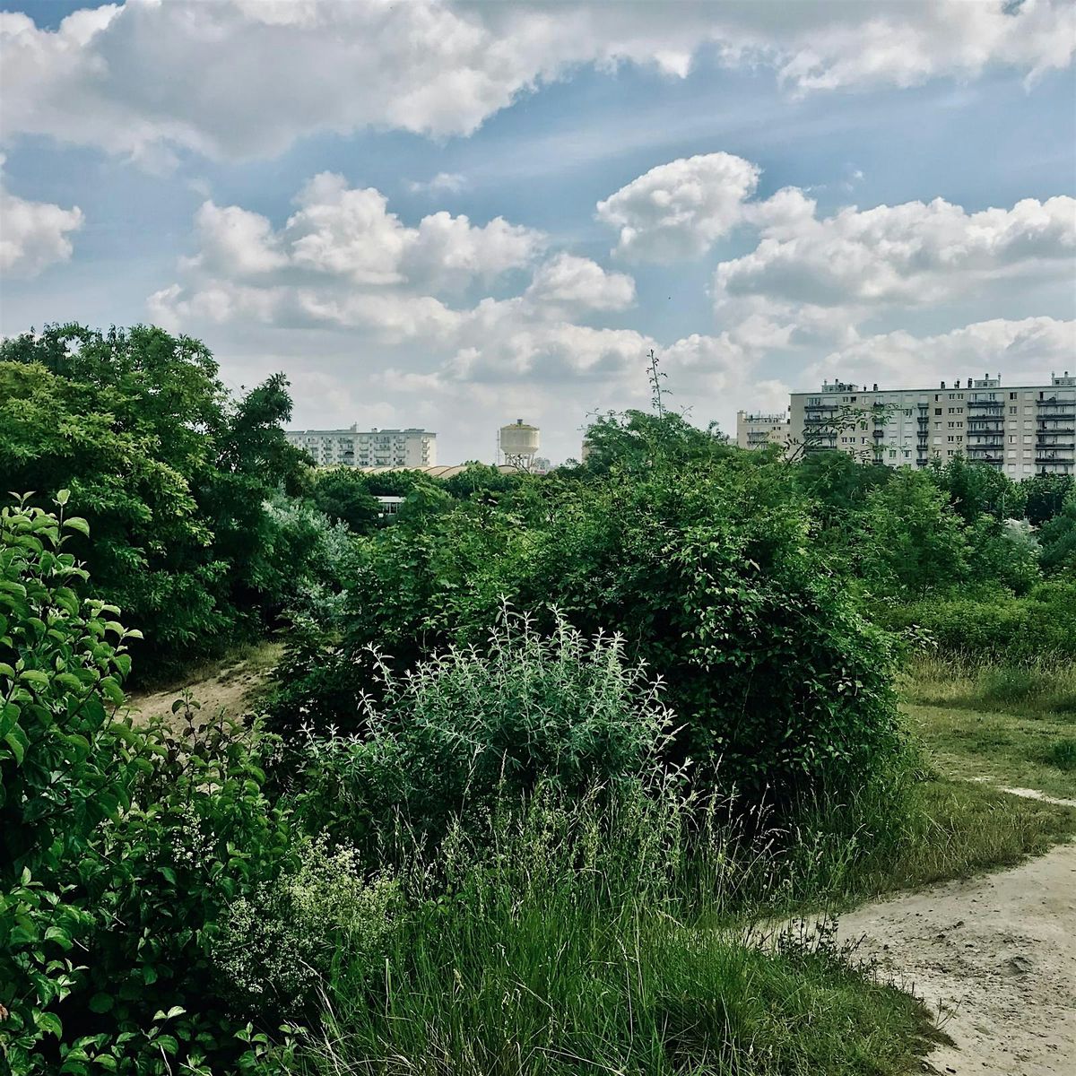 Randonn\u00e9e botanique m\u00e9tropolitaine, du Bois de Vincennes aux Murs \u00e0 p\u00eaches