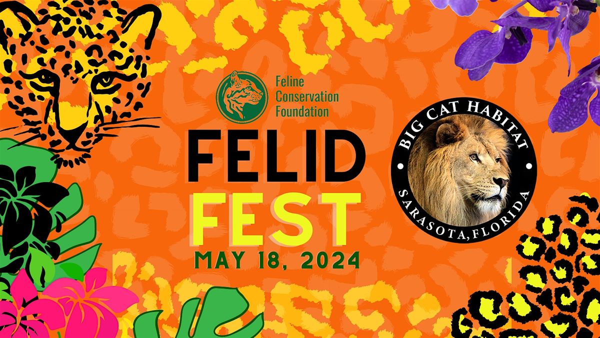 Felid Fest 2024