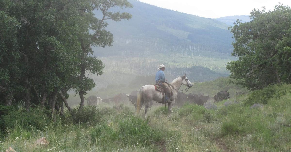 XYZ Ranch & TL Cattle "Where Two Trails Meet" Annual Bull Sale