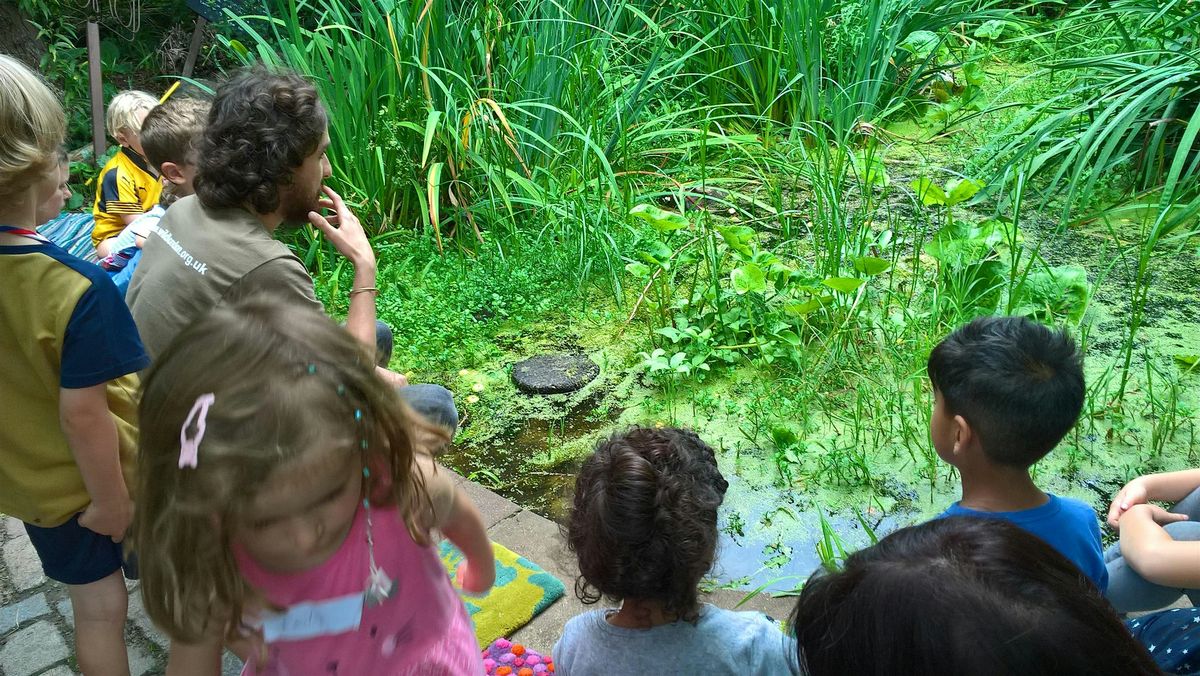 Family Wildlife Discovery at the Centre for Wildlife Gardening