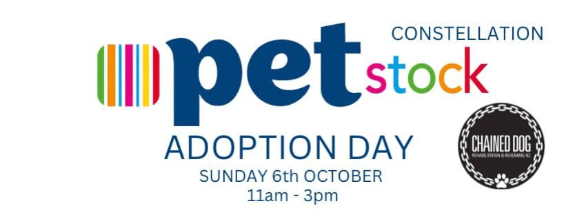 Adoption Day @ Pet Stock