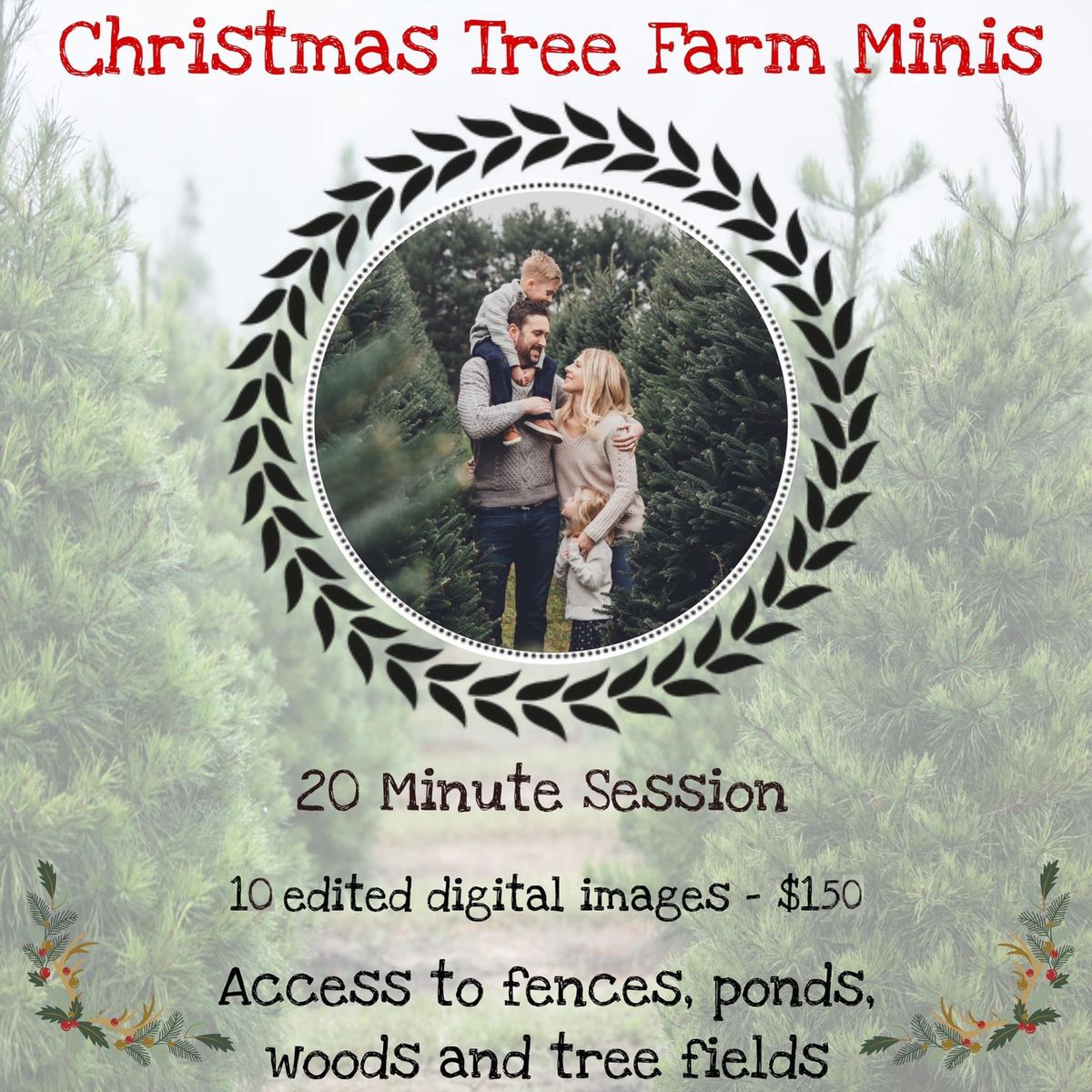 Christmas Tree Farm Sessions