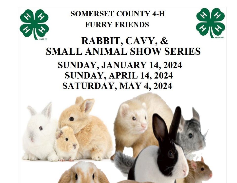 Somerset County 4H Furry Friends Rabbit, Cavy, and Small Animal Show Series 2024, 310