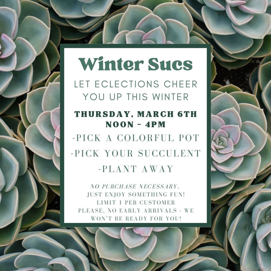 Winter Succs! Cheer Up @ Eclections